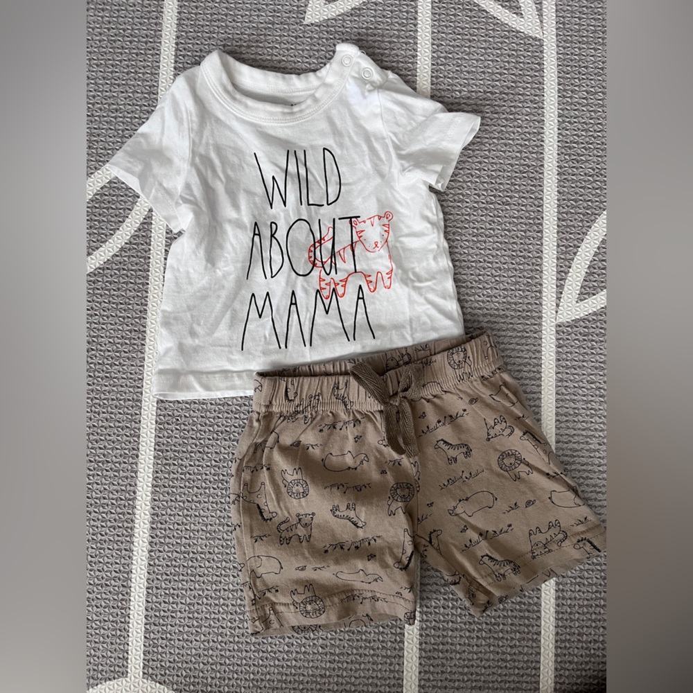 Rae Dunn outfit